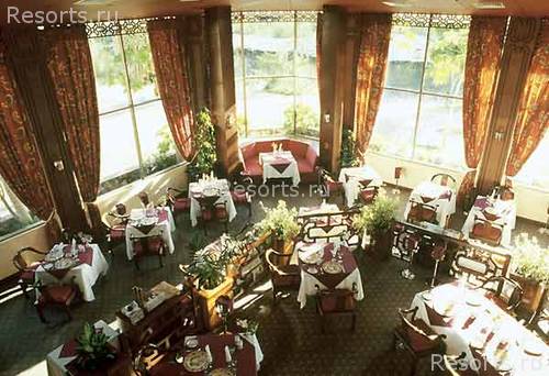 Plantation Club Superior 22